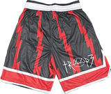 T3 Zig Zag Shorts